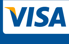 Visa debit card icon